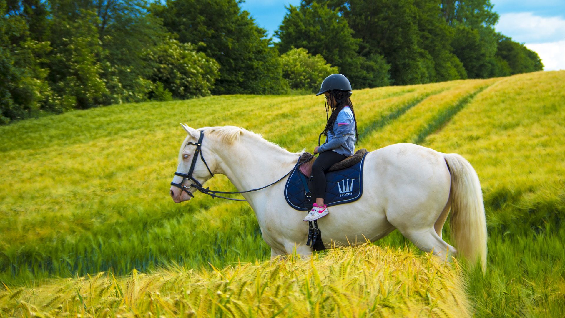 reiten für Kinder