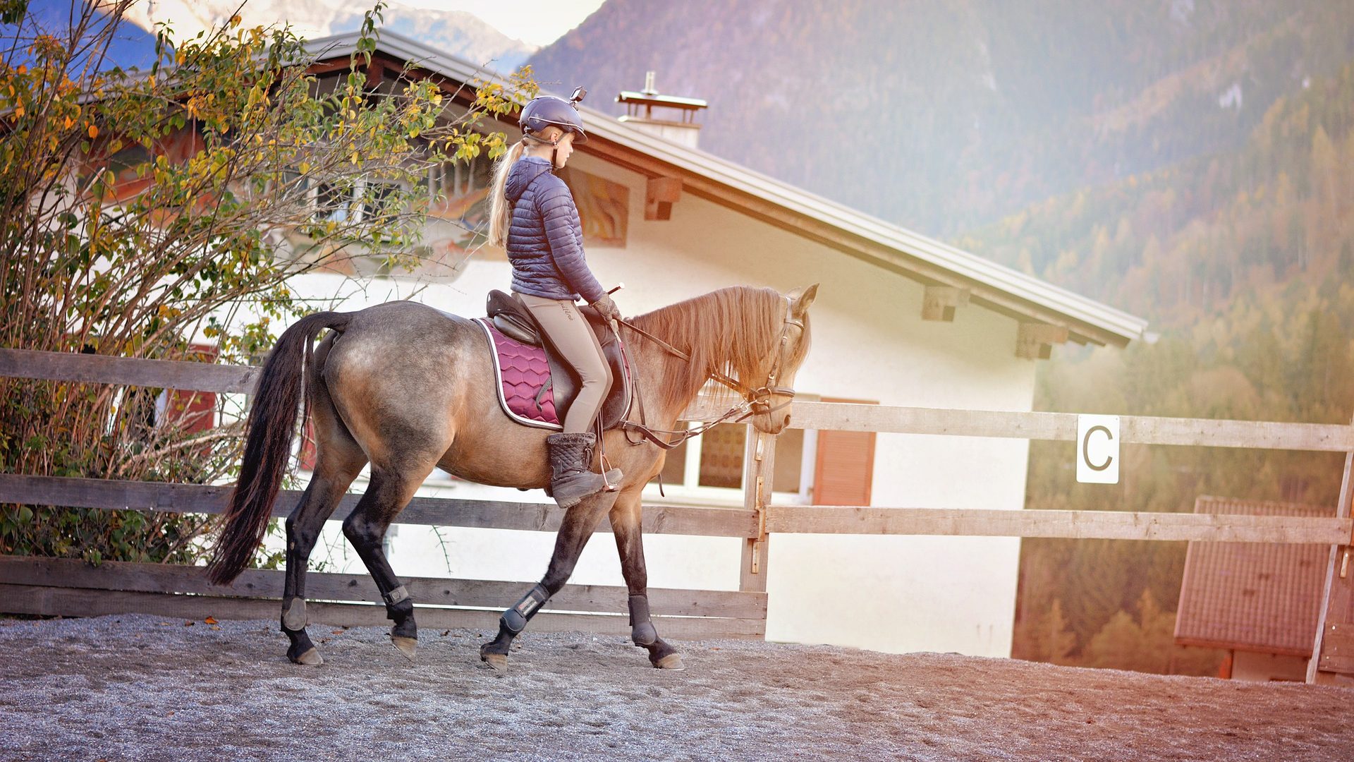 reiten lernen