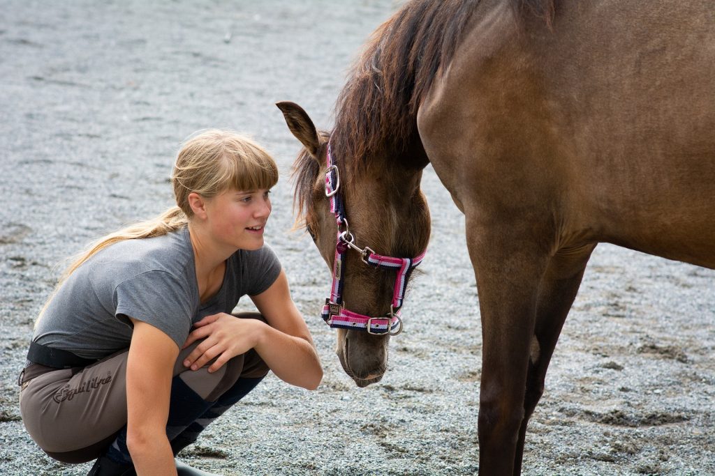 Reiten
