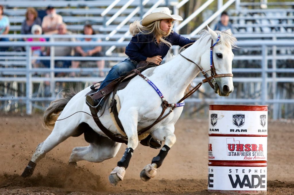 westernreiten
